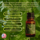 Vitamin Boost Power Dose &mdash; концентрований вітамінний бустер для волосся VITBOO фото 1